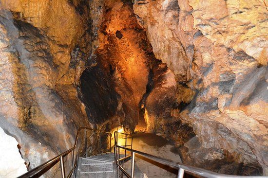 The Palvolgyi Caves