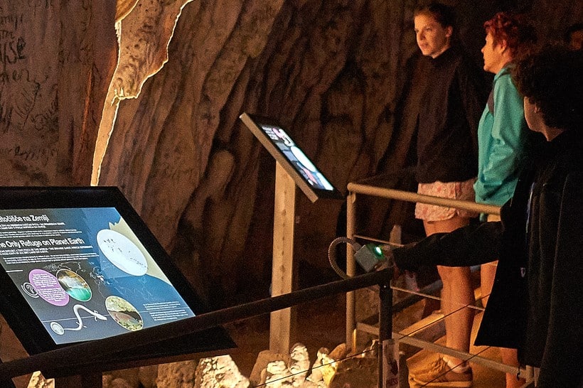 postojna cave vivarium